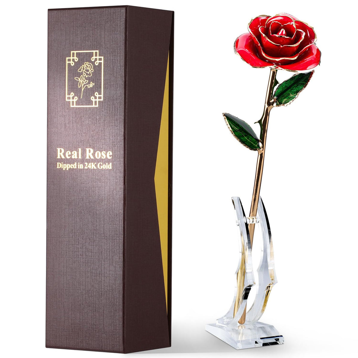 Eco Space Gold Dipped Rose petal close-up reveals a durable, everlasting keepsake.