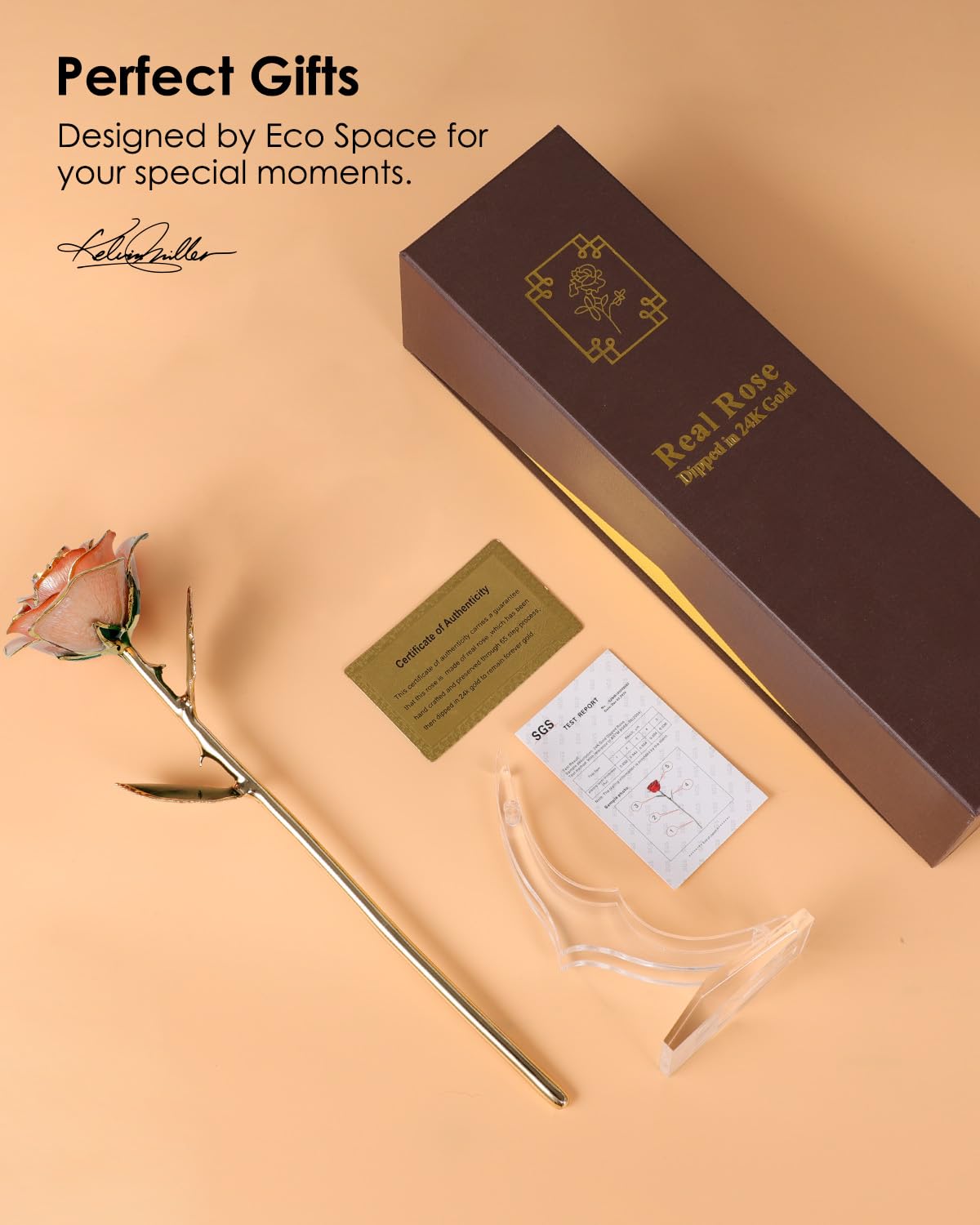 Real preserved bloom in Eco Space Gold Dipped Rose with a lasting gold finish.