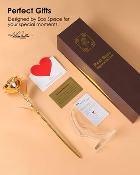 Eco Space rose on wooden surface evokes timeless romance.
