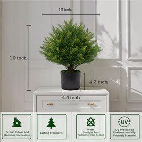 ECOLVANT topiary ball tree framed by doorway for inviting entryway visuals