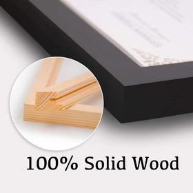 Egofine pine wood frame close-up with HD plexiglass for clarity.