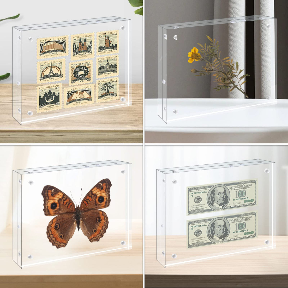 Egofine safe packaging protects frames during shipping.