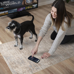 EISUROM crease-treatment-friendly rug maintains a flat look when laid.