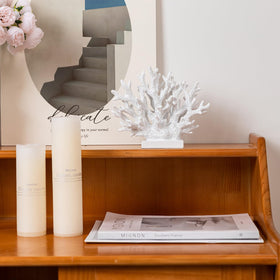 Elegondrar resin coral statue highlights detailed branches for beach-inspired shelves