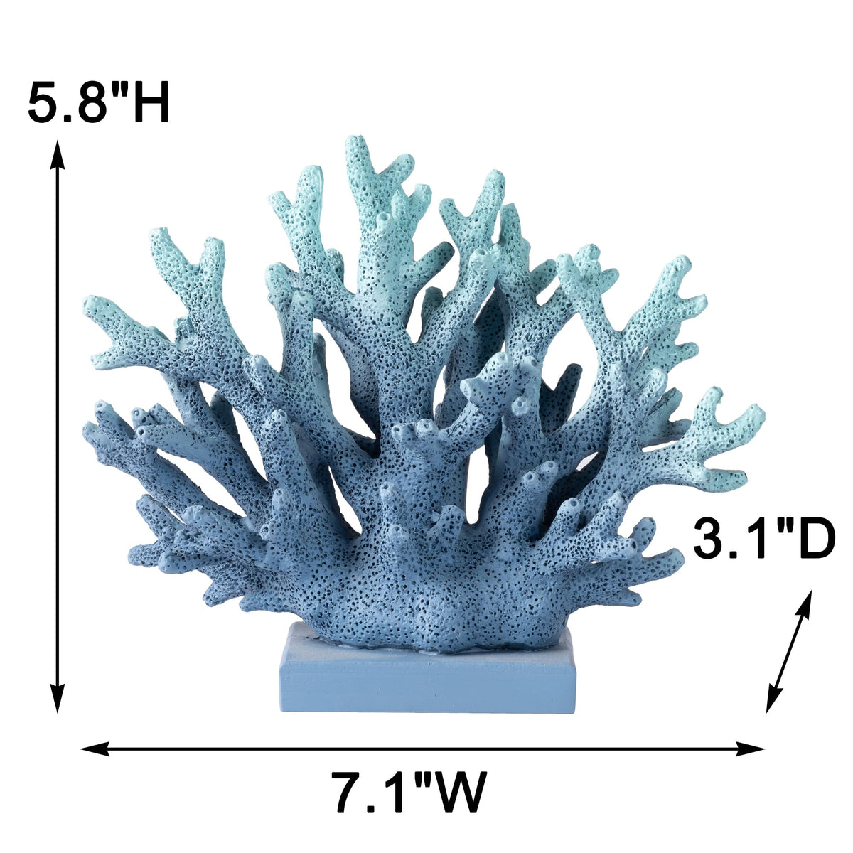 Elegondrar window sill coral art brightens rooms with marine hues.