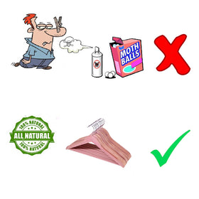 ELONG HOME hard carton packaging protects cedar hangers during shipping.
