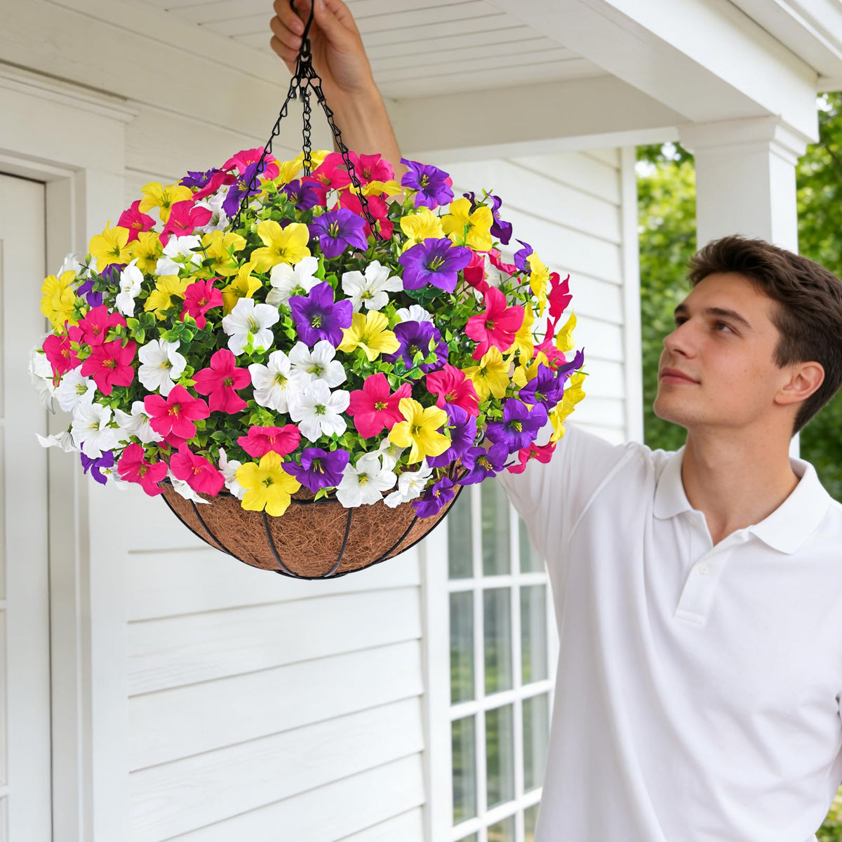 Elyum morning glory collection for vibrant porch displays.