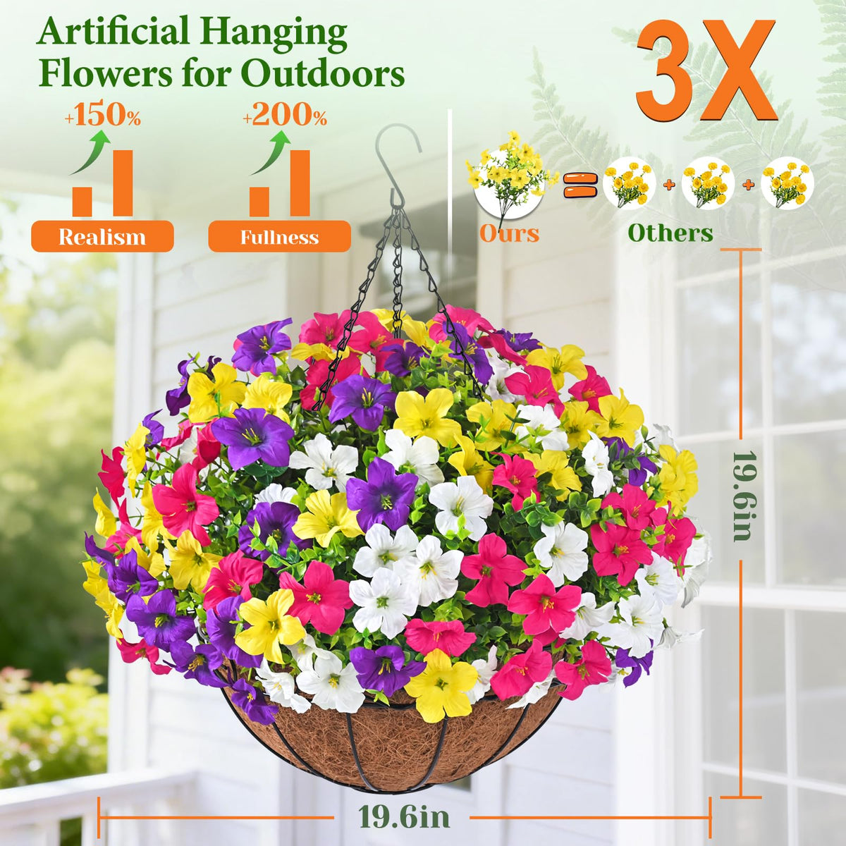 Elyum morning glory in vibrant colors adds year-round garden charm.