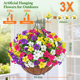 Elyum morning glory in vibrant colors adds year-round garden charm.