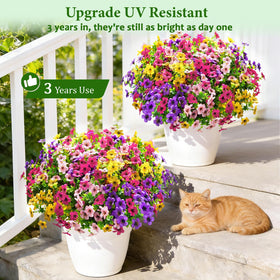 Elyum outdoor flowers for garden and porch create instant color year-round.