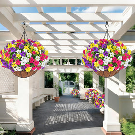 Elyum porch and entryway decor gains year-round color with these blooms.