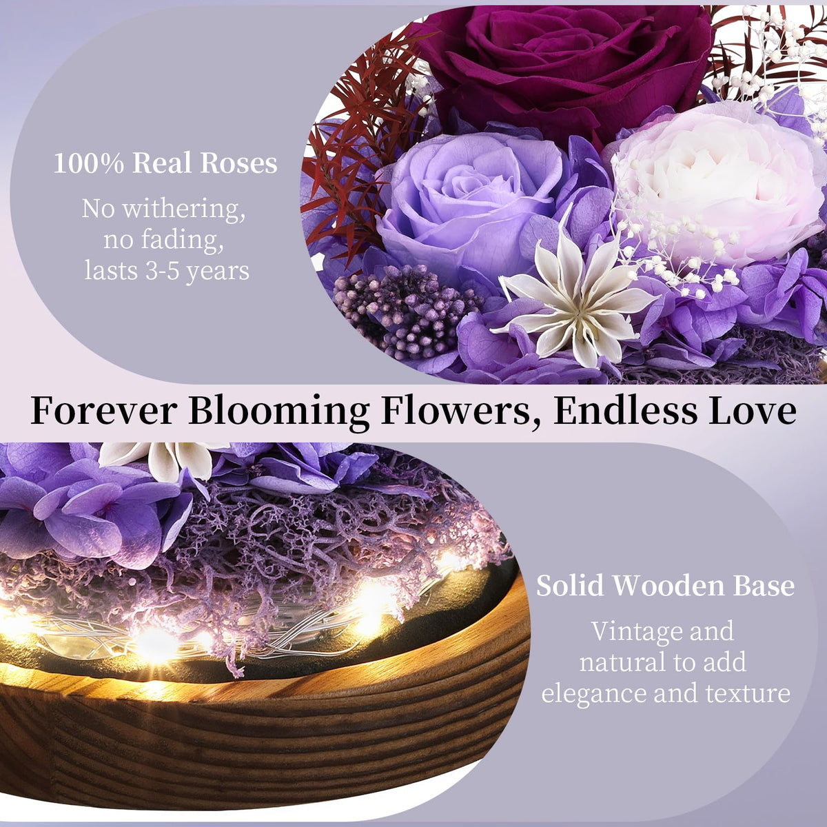 Emibele eternal-rose closeup shows vibrant color and three-dimensional petals.