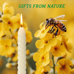 ENCANLIGHT 10-pack ivory taper candles for stylish decor and events.
