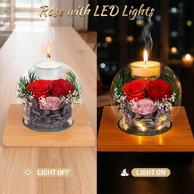 ENERLEAF glass dome with wooden base enhances any living space.
