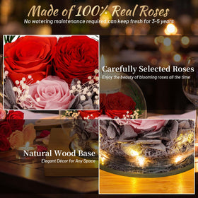ENERLEAF natural soy wax candles for a soothing fragrance experience.