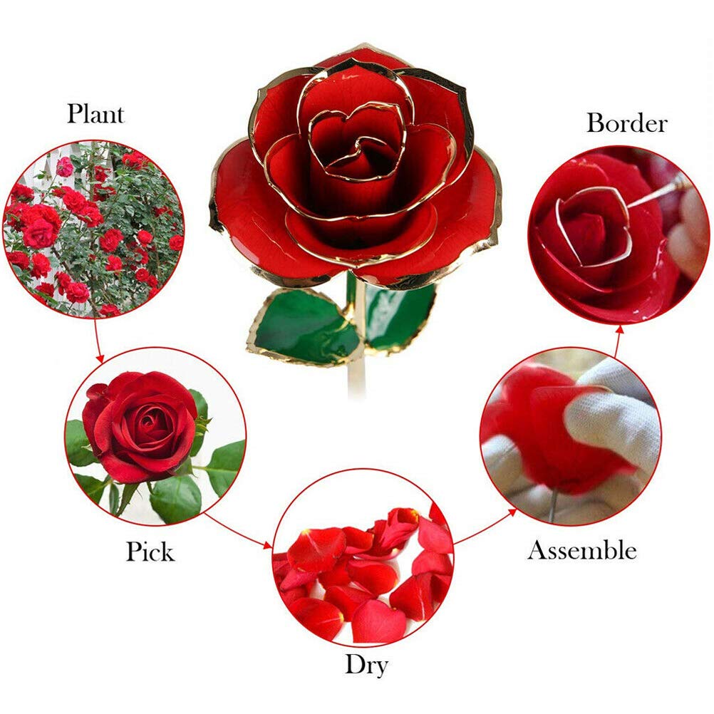 ENJOYPRO Rose Measurement notes 70x70x280 mm size for easy placement