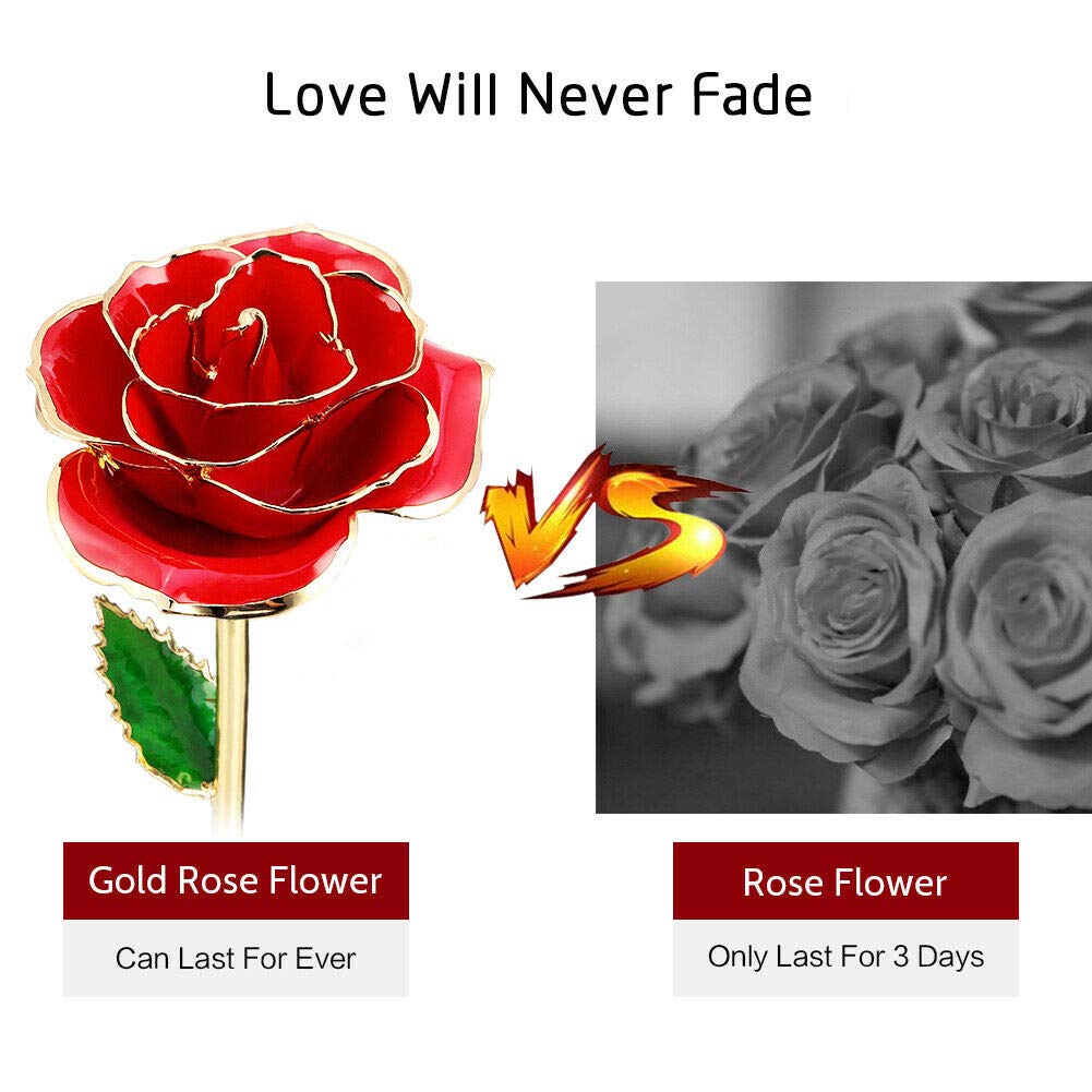 ENJOYPRO Rose Petal Closeup shows real petals dipped in gold for a luxe look