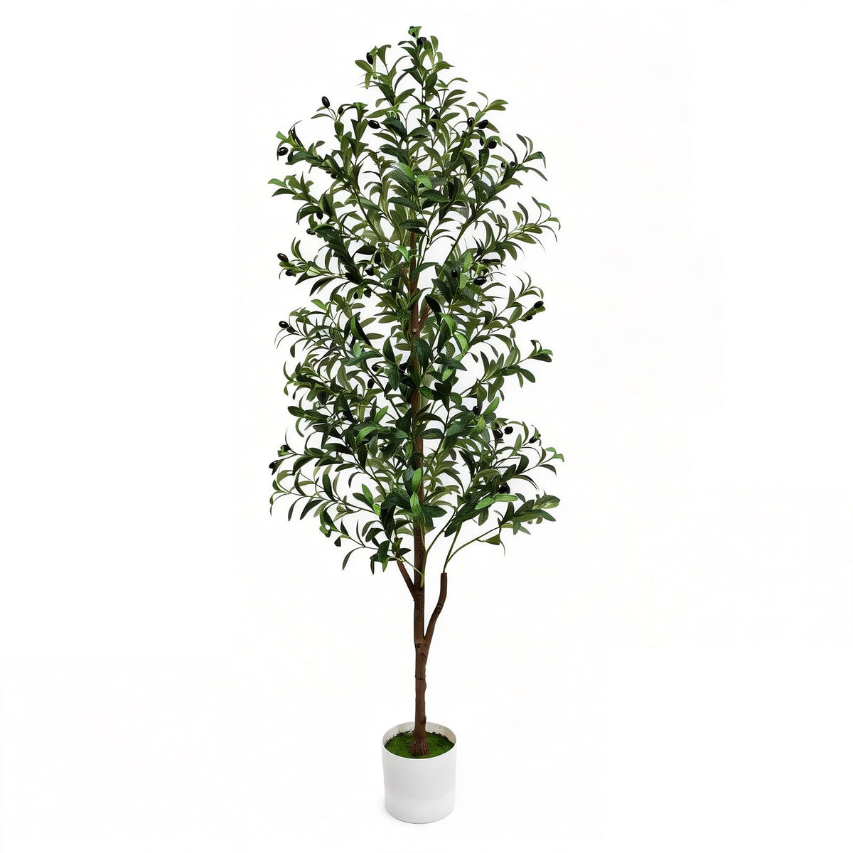 ENLETRAN olive tree 6ft in pot with realistic trunk enhances living room ambiance