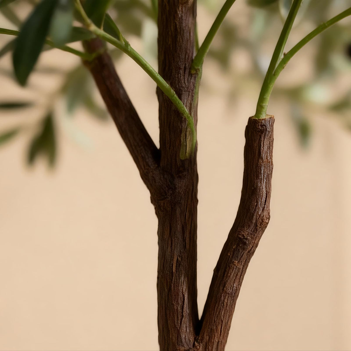 ENLETRAN olive tree branches bendable for adaptable decor styles