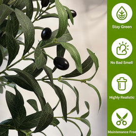 ENLETRAN olive tree leaves and olives provide a convincing evergreen focal point