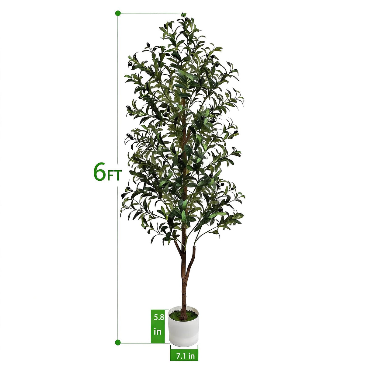 ENLETRAN olive tree trunk detail highlights lifelike texture for premium look