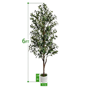 ENLETRAN olive tree trunk detail highlights lifelike texture for premium look
