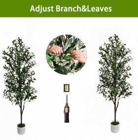 ENLETRAN olive tree white planter and base offer sturdy, stable display