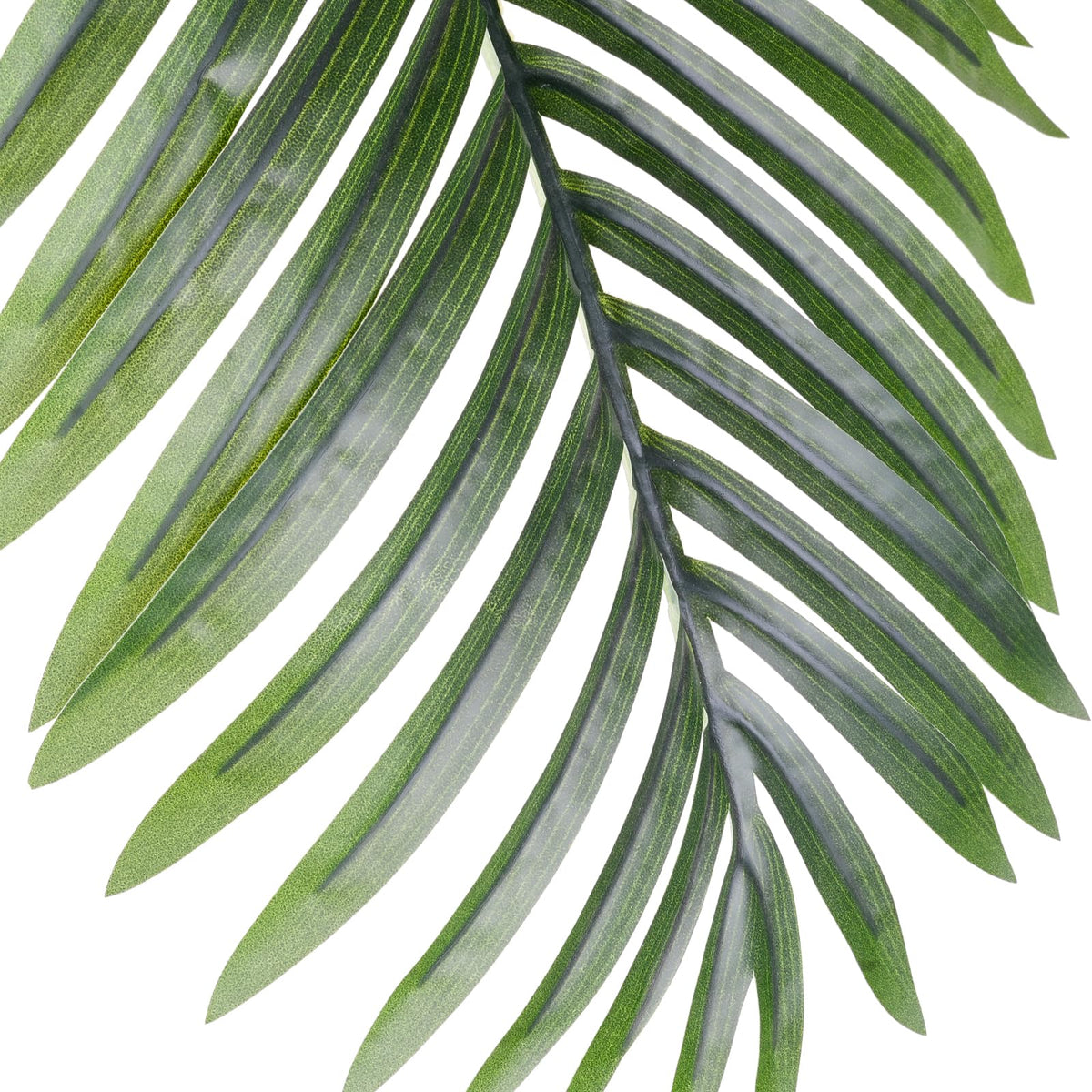 EOOIO palm tree makes a thoughtful housewarming or office gift