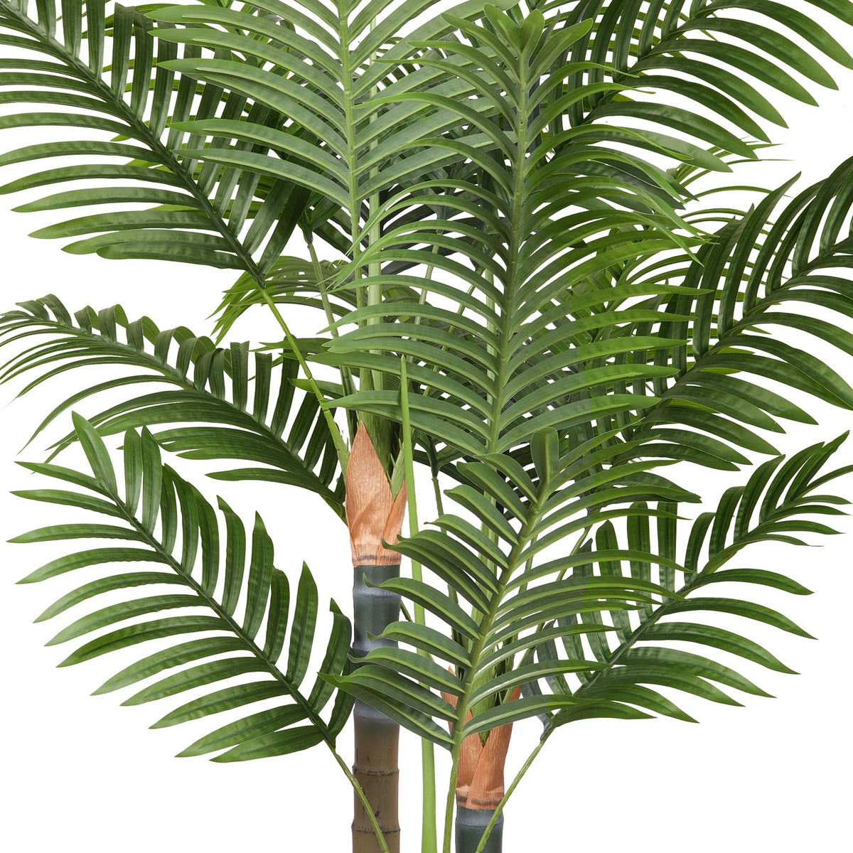 EOOIO palm tree ideal for office desks and reception areas