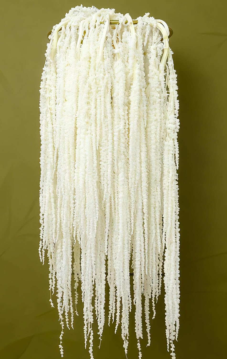 EquSym dried amaranthus hanging flowers elevate ivory-white arches with timeless elegance.
