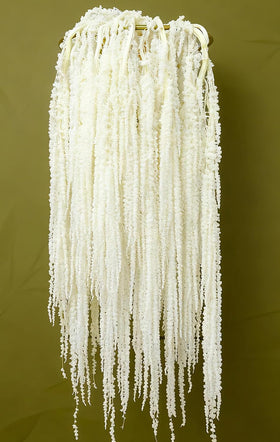 EquSym dried amaranthus hanging flowers elevate ivory-white arches with timeless elegance.