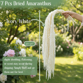 EquSym 23–27in ivory-white amaranthus stems create cascading centerpieces.