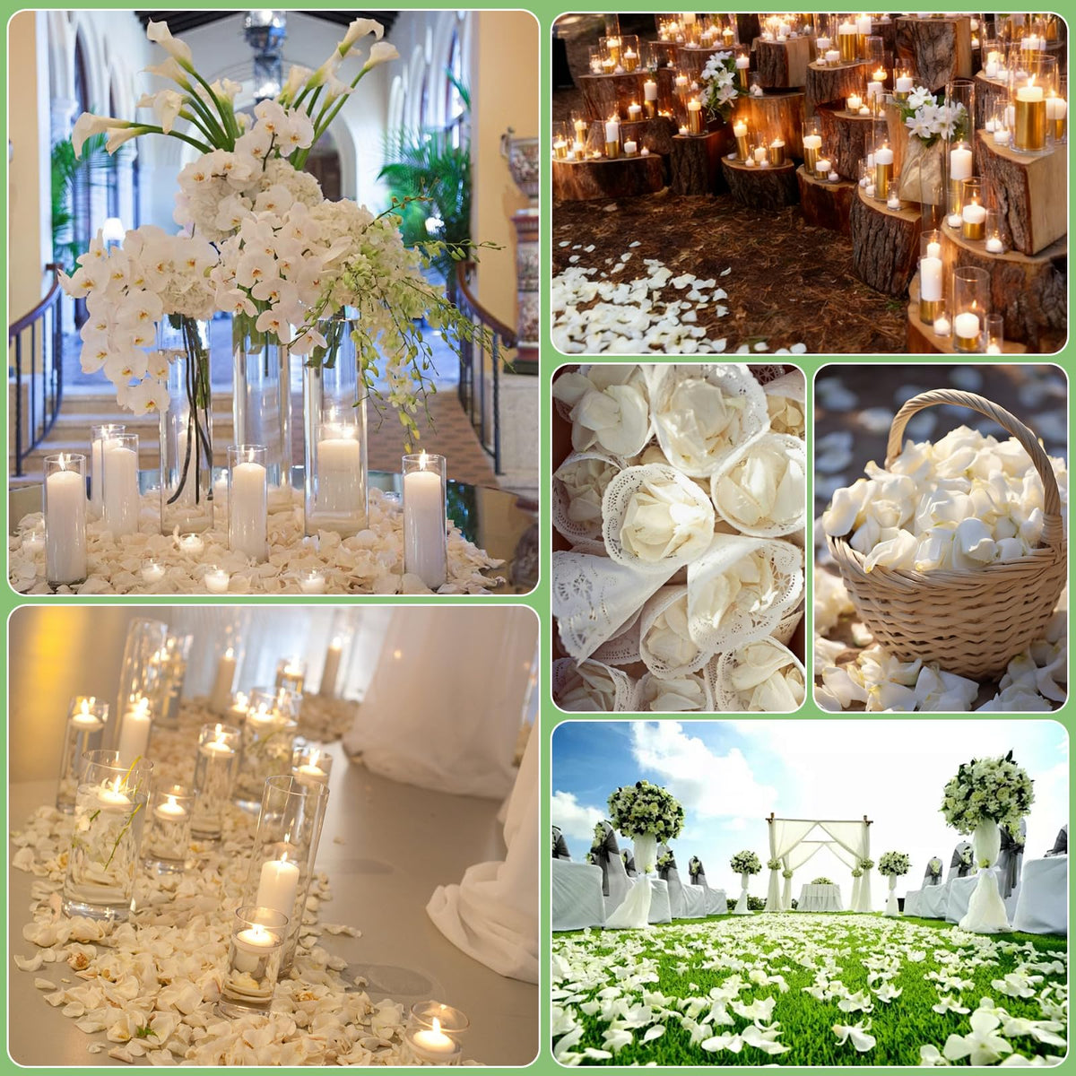 Arch and cake table accents using Eslibin preserved petals