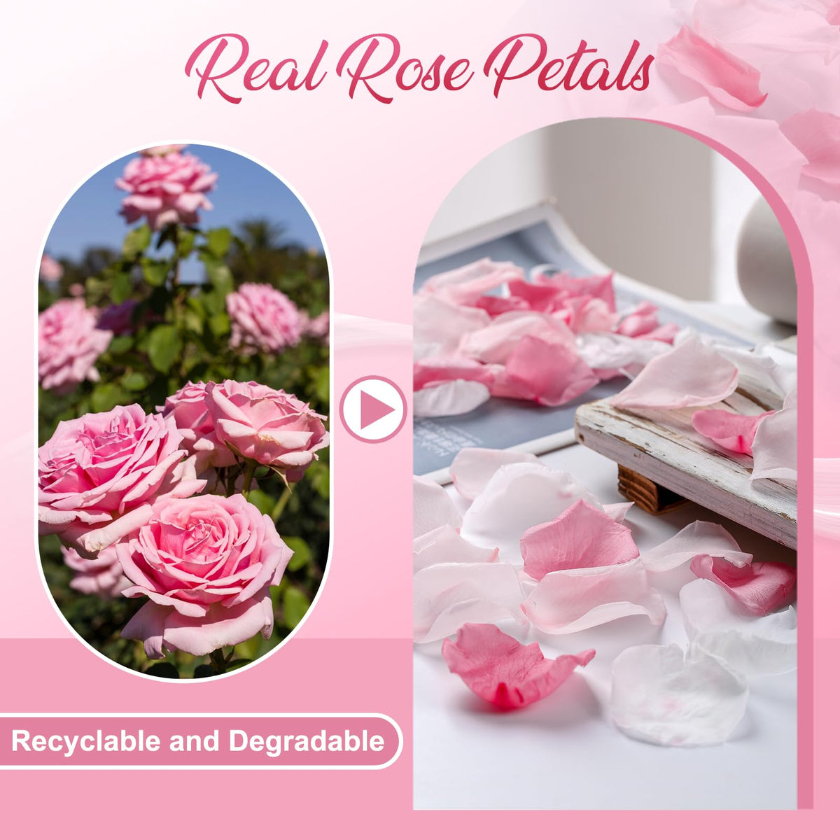 Eslibin 50g box with about 150 petals for versatile decorating