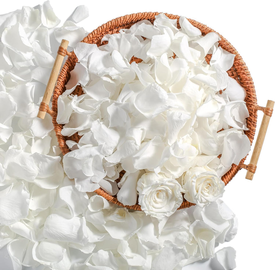 Eslibin Real Ivory Rose Petals close-up texture for elegant wedding decor.