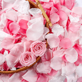 Eslibin real pink rose petals close-up for natural texture and color