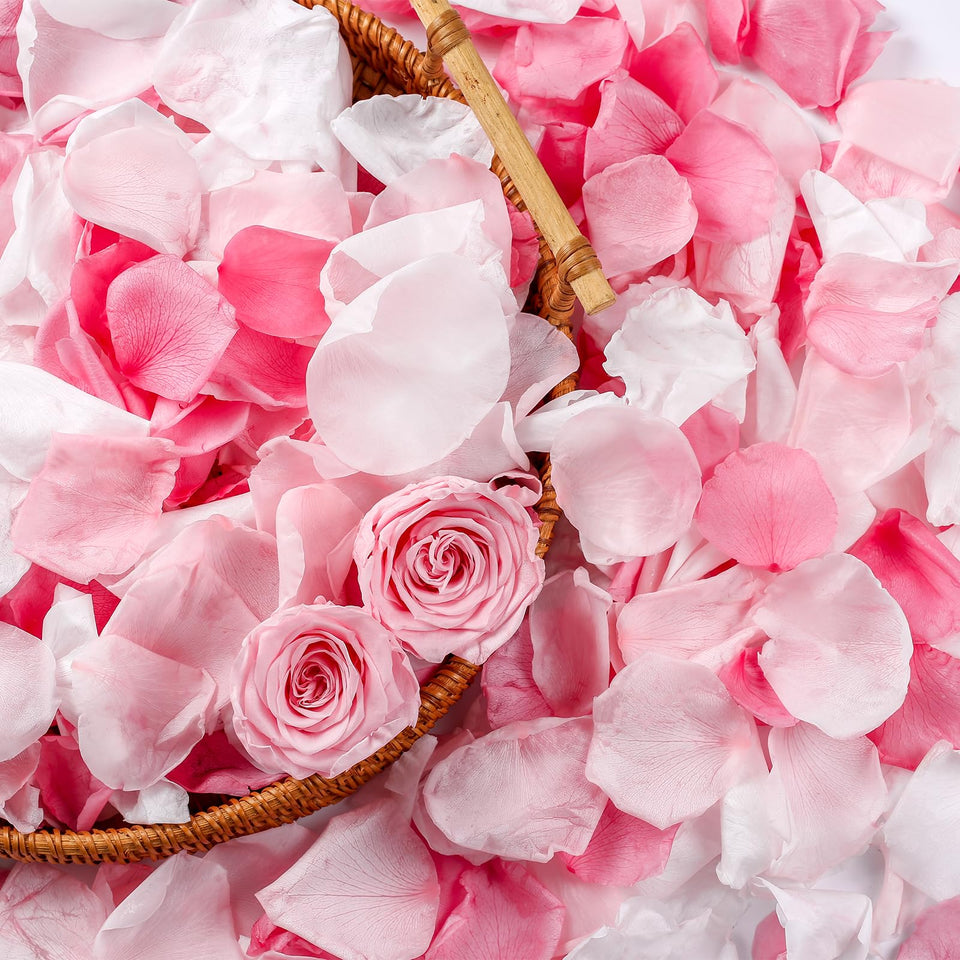 Eslibin real pink rose petals close-up for natural texture and color