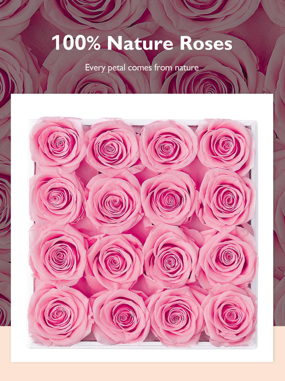 Eterfield no-maintenance roses, maintenance-free decor that lasts beyond seasons.