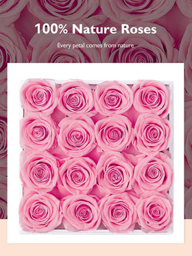 Eterfield no-maintenance roses, maintenance-free decor that lasts beyond seasons.