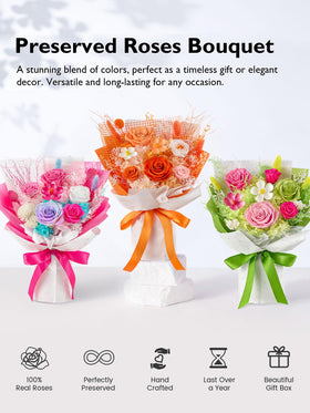 Eterfield zero maintenance roses require no watering or daily care