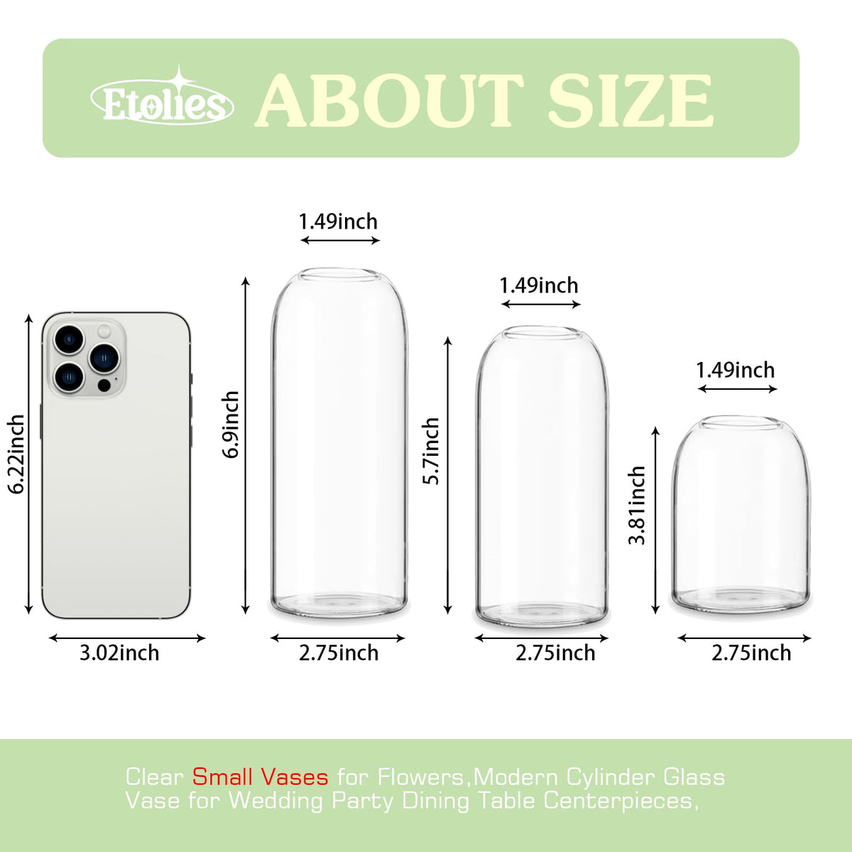 Etolies bud vase clear 14.5 cm for slender stems.