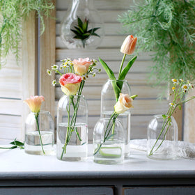 Etolies bud vase clear 17.5 cm for tall blooms.
