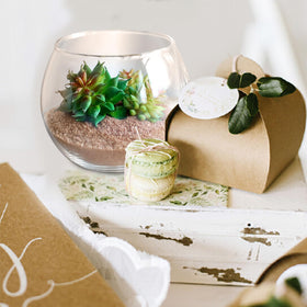 Etolies bulk vases for home decor and gifting ideas.