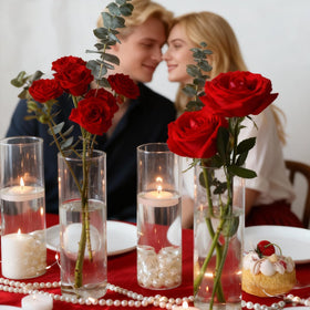 Etolies modern cylinder vases enhance home or office decor with sleek lines