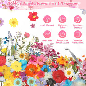 Evatage versatile dried flowers for candles, soap, gift wrapping, and crafts.
