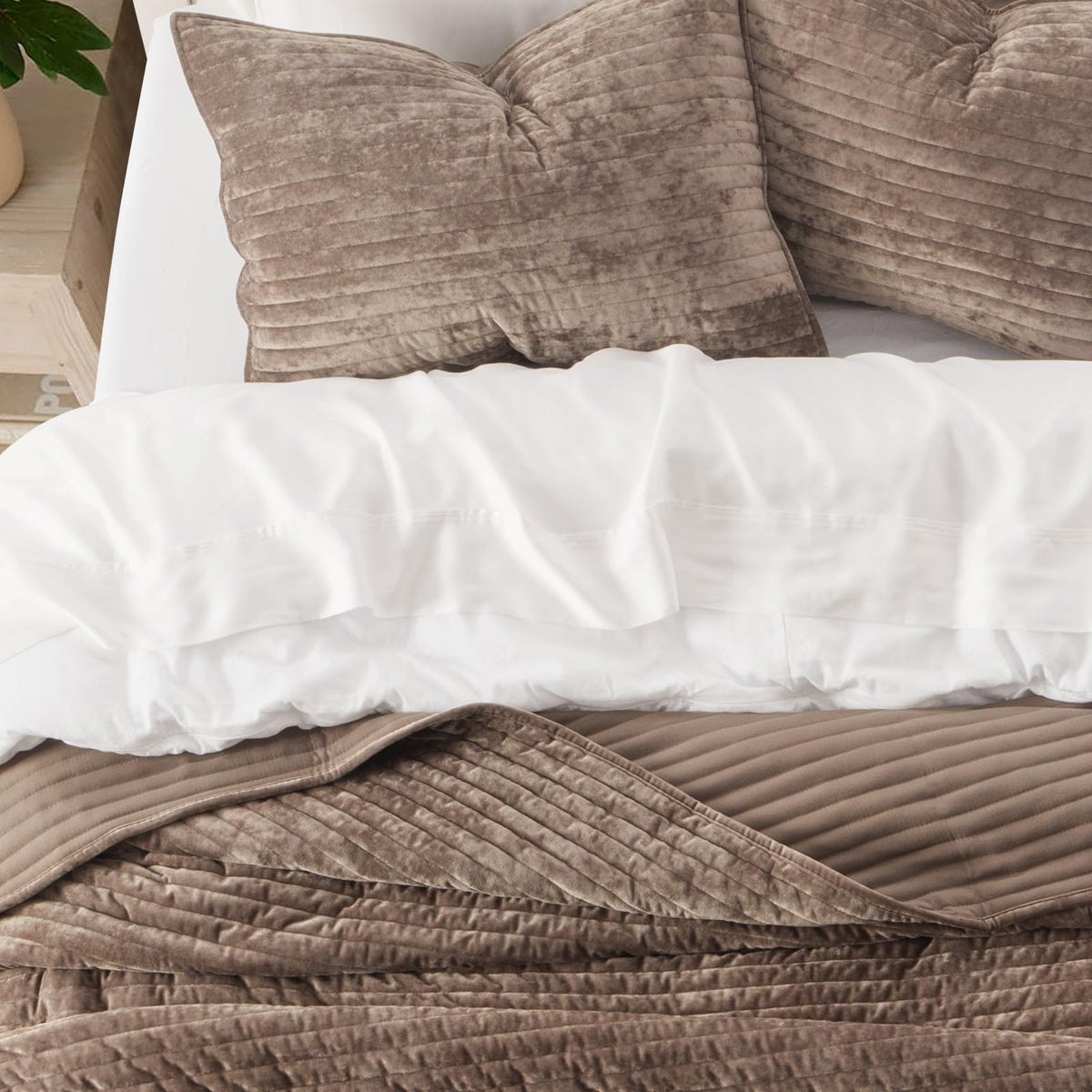 EverGrace velvet quilt texture-softness highlights velvety touch for cozy nights