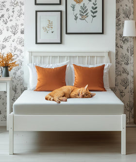 Everlasting Comfort sleep hygiene protector supports clean, fresh bedding.