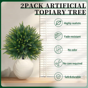 EverNature pair framing entryway for welcoming, low-maintenance greenery
