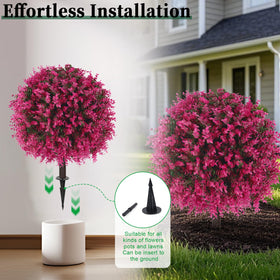 EverNature indoor entryway pairing, creates balanced, year-round decor.