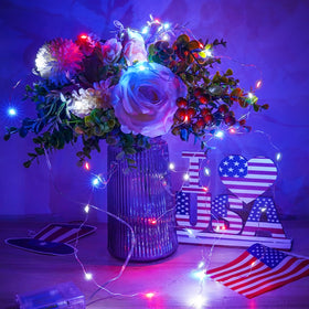 EXF 16ft 50-LED string light for vibrant holiday accents